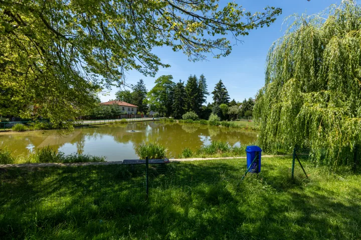 Revitalizovaný rybník v Přezleticích