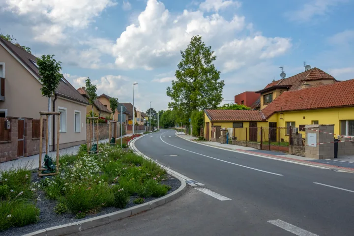Zeleň podél průtahové komunikace v Přezleticích